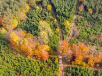 Beskid Niski